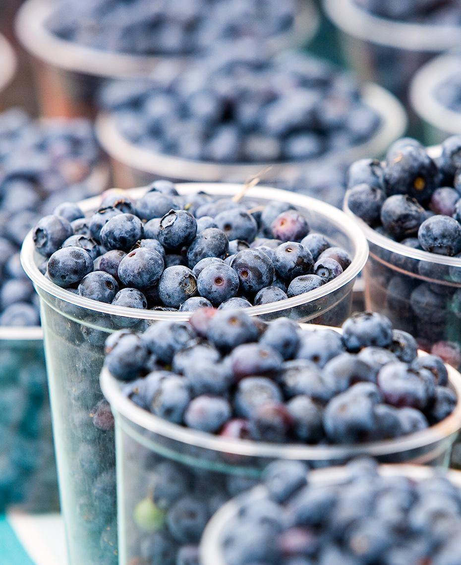 Picture of blueberries at farmers’ market booth