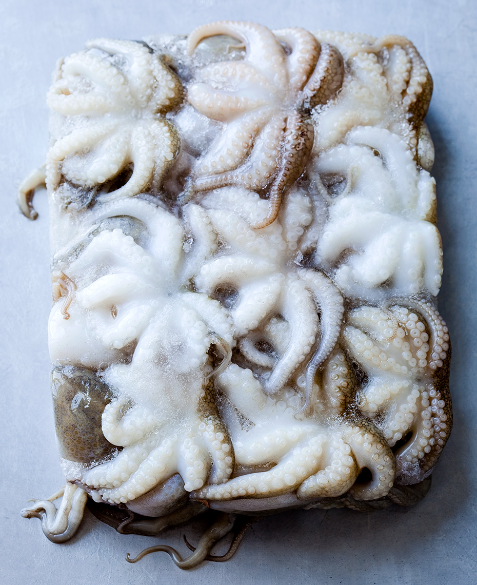 Frozen baby octopus still life