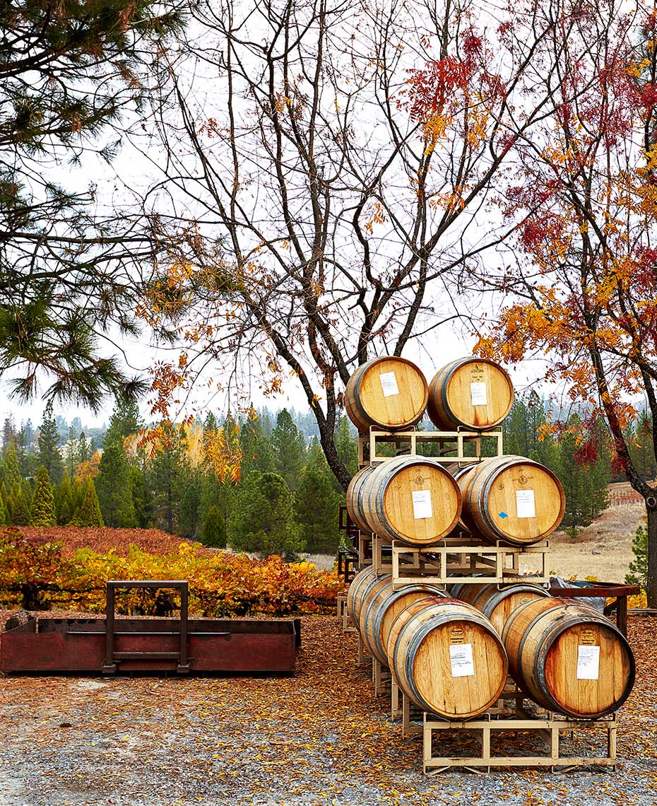 Wine barrels outside during fall season